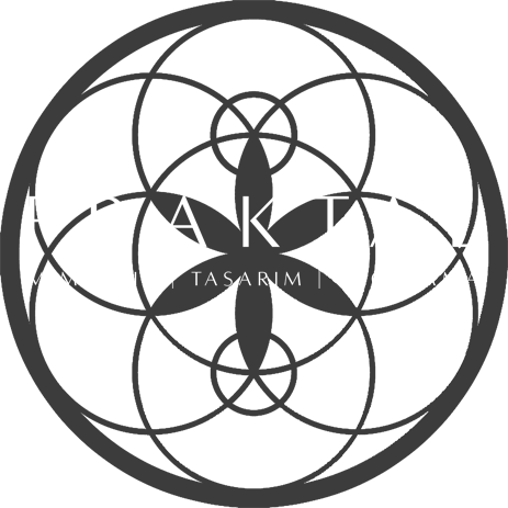 Fraktal Mimarlk Denizli